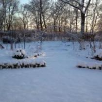 Vinter i trädgården Vildrosor & Höns